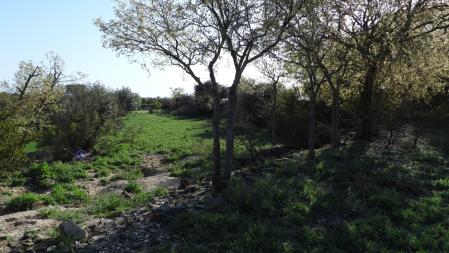 La posición del conejo blanco señalizada.