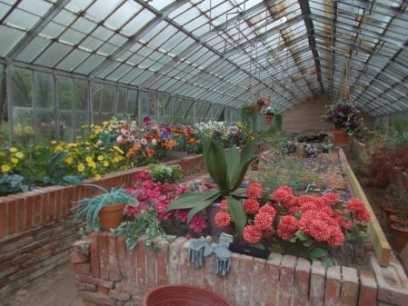El invernadero de la Quinta de Torre Arias.