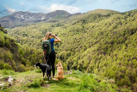 Si vas a disfrutar de la naturaleza y los paseos por la montaña, recuerda proteger a tu perro contra pulgas y garrapatas
