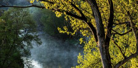 Humo ártico en el Ter.