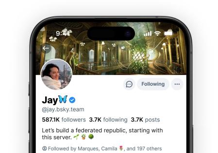 Sistema de verificación de Bluesky.