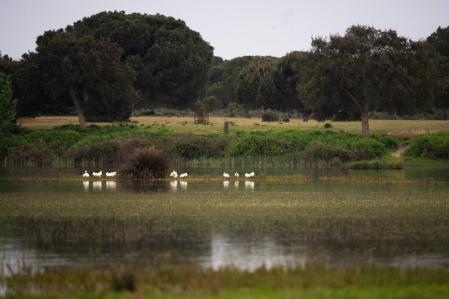 Las fuertes lluvias de marzo han restaurado las reservas de agua y, con ellas, la esperanza de un futuro mejor para la fauna y la flora locales