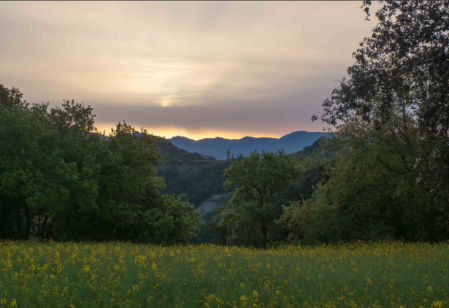 Amanecer con polvo sahariano en Orís.