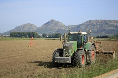Preparando los campos para sembrar el arroz en Torroella de Montgrí.