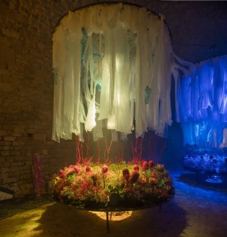 Instalación floral ‘Un mar de realitat’, presentada por BBVA en los sótanos de la Catedral de Girona durante Temps de Flors 2023