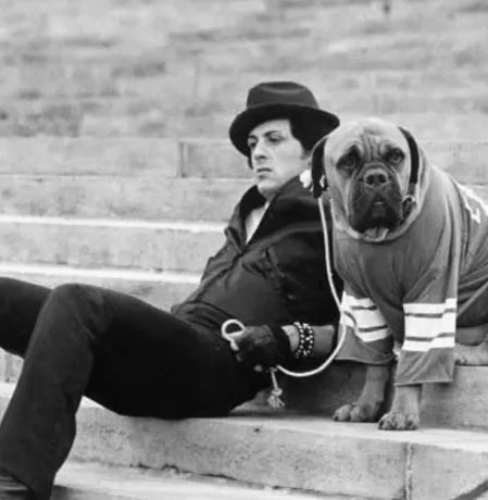 Sylvester Stallone junto a su perro