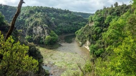 Agua en la cola del pantano de Sau.