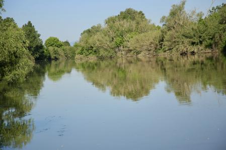 El Ter a su paso por Torroella de Montgrí.
