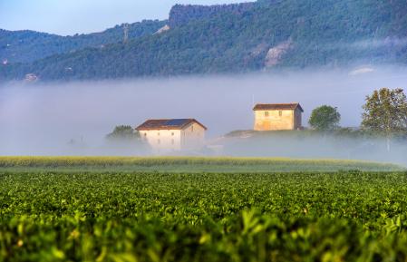 Niebla primaveral en Malla.