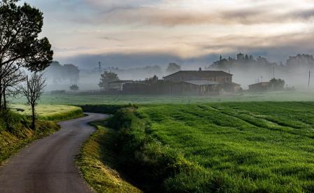 Niebla primaveral en Malla.