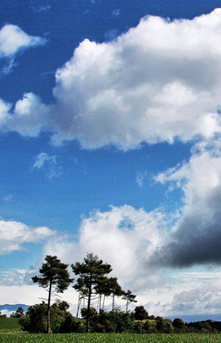 Paisaje de frontera en el Bages.
