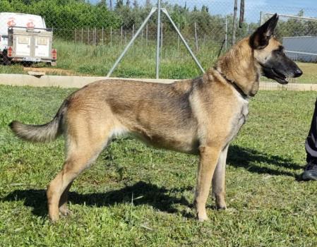 Lila sobrevivió a lo impensable, ahora necesita una familia que la quiera