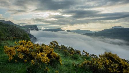 Primavera en Tavertet.