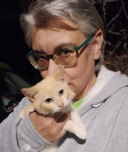 La historia de Gloria, la mujer que cuida de más de 100 colonias felinas sin descanso