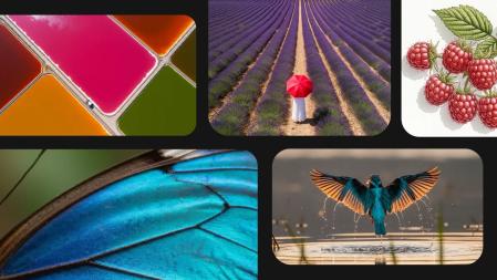 Google ofrecerá nuevas posibilidades de generación multimedia.