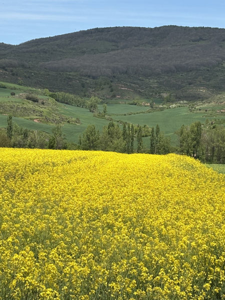 Panorámica de valles y montañas.
