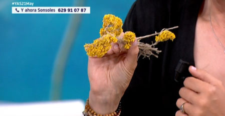 El polvo amarillo visible sobre los coches no es el que provoca los síntomas respiratorios, según la divulgadora