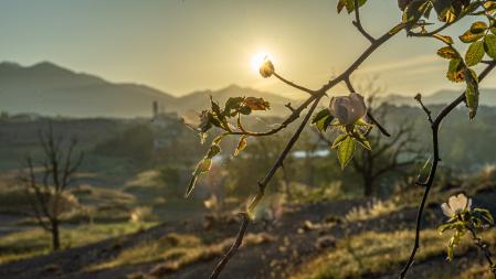 Amanecer en Sant Pere de Torelló.