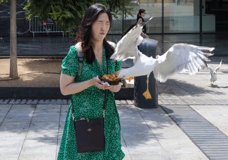 Ataque de una gaviota a una turista, para arrebatarle la comida que acaba de comprar en el Mercat de la Boqueria 