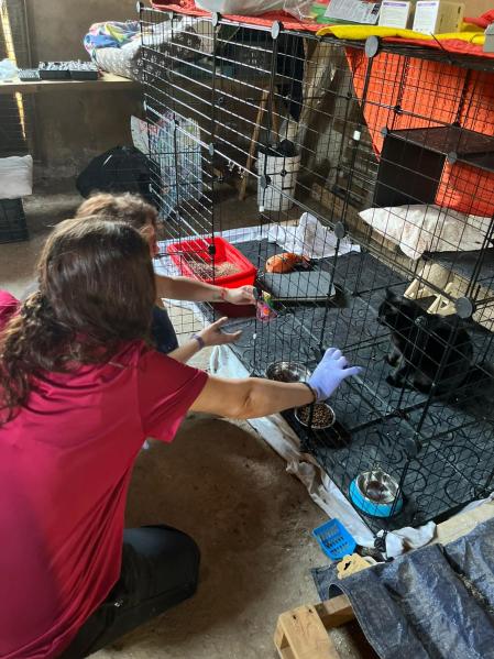 Ejemplo de compromiso: cuando cuidar se convierte en acto de resistencia