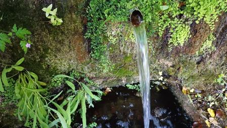 La Font del Rector de Mura.