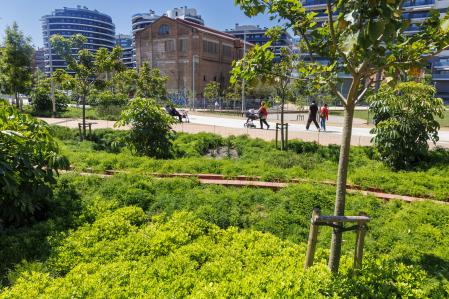 Los árboles de Can Batlló se utilizan para crear sombras con las que mitigar el calor de la ciudad. 