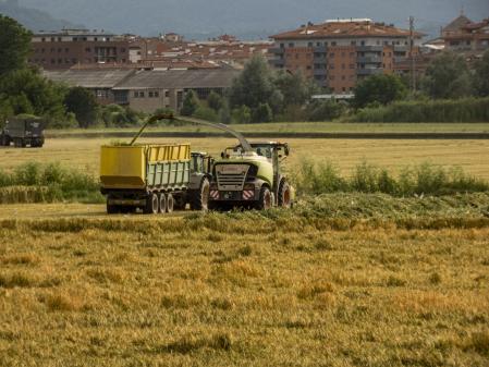 Escena de la siega en Calldetenes.