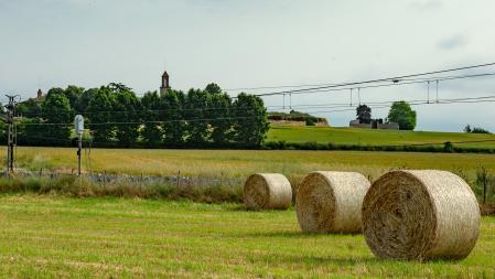 Campo de balas en Manlleu.