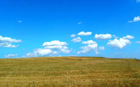 Campo dorado del Solsonès.