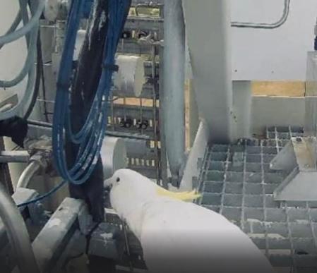 Imagen de redes sociales