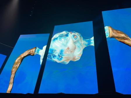 Su visión del ovario criogénico (o la congelación de óvulos)