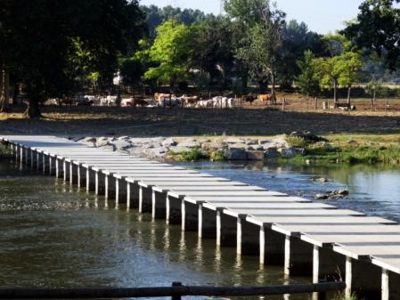 Vora Ter a su paso por Manlleu.