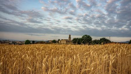 Amanecer tapado y de secano en Manlleu.