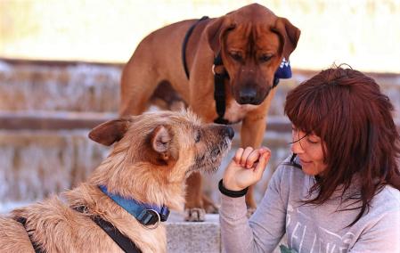 La asociación lleva años luchando por la adopción responsable y la desestigmatización de estos peludos.&nbsp;