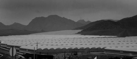 El mar de plástico entre Murcia y Almería&nbsp;