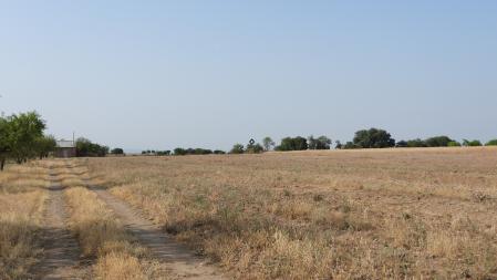 Solución al Reto de los abejarucos.