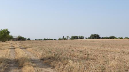 Solución al Reto de los abejarucos con su posición señalizada.
