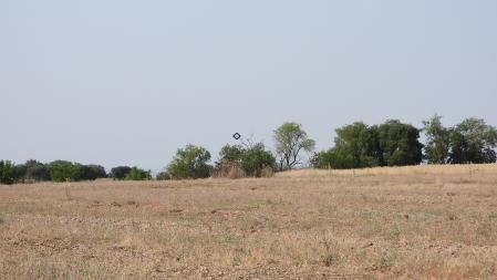 Solución al Reto de los abejarucos.