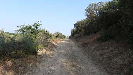 Reto visual: ¿Puedes encontrar a los dos conejos?