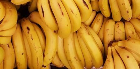 Las monodietas pueden tener consecuencias negativas en el organismo