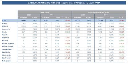 Matriculaciones de turismos de gasolina por segmentos en España en el mes de junio de 2025 y en el primer semestre del año