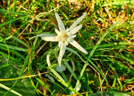 Alrededores del Xalet del Catllaràs.