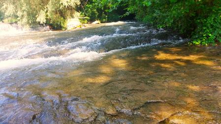 El Ter baja con buen caudal.