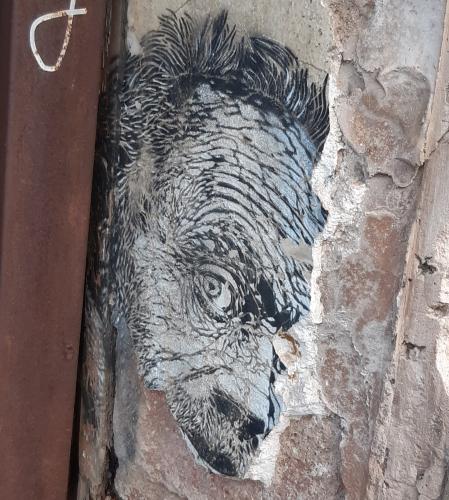 Una mirada enigmática.