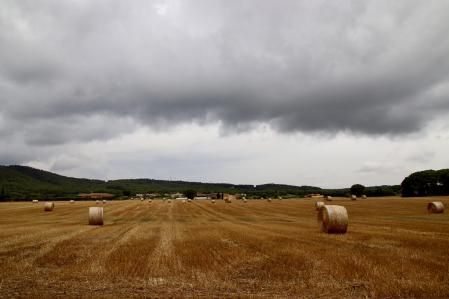 El paisaje melancólico de Llofriu.