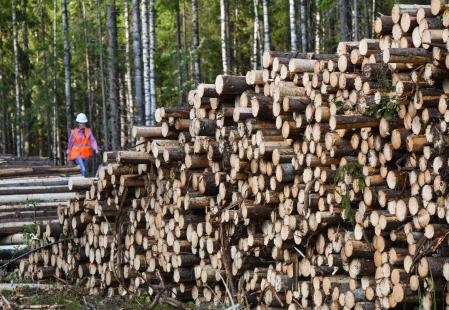 Talas del grupo Segezha en Vologda, en Rusia, en una foto de 2023