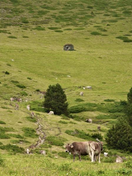 Collet de les Barraques.