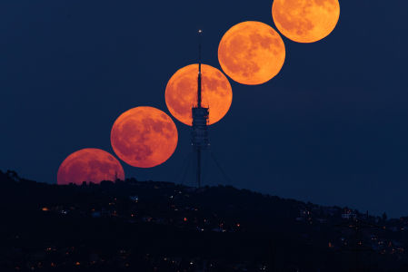 La secuencia de la luna llena del ciervo en Collserola.
