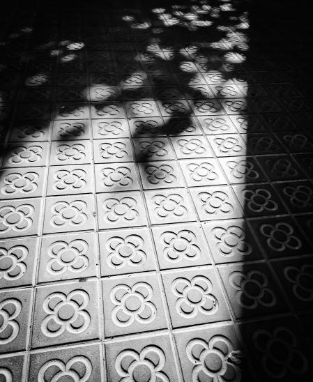 Barcelona en la sombra.
