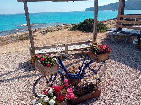 Una bicicleta con vistas la mar.